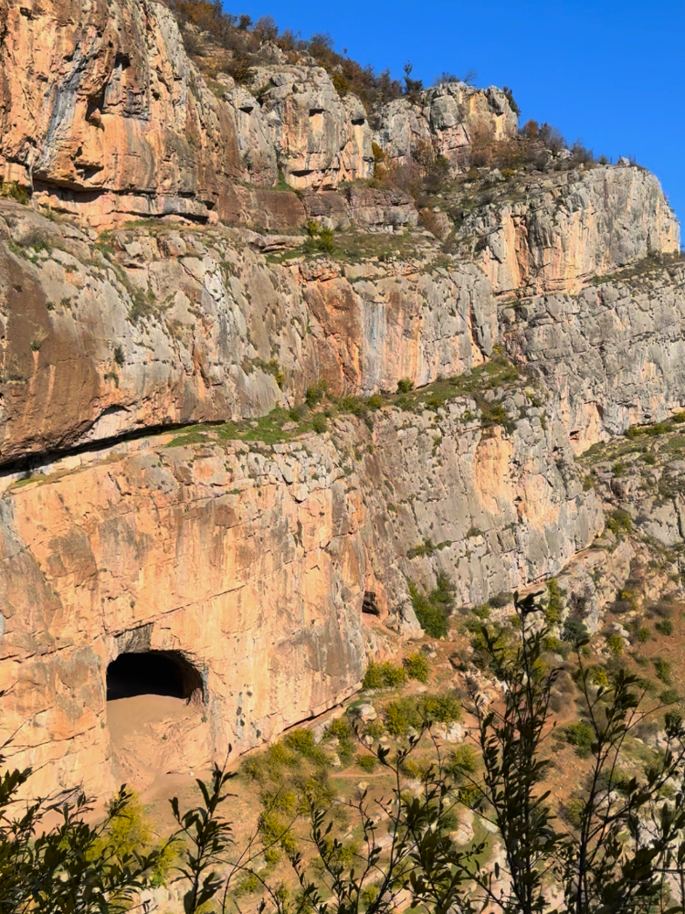  the entrance of a Stone Age cave in the Hyrcanian forests
