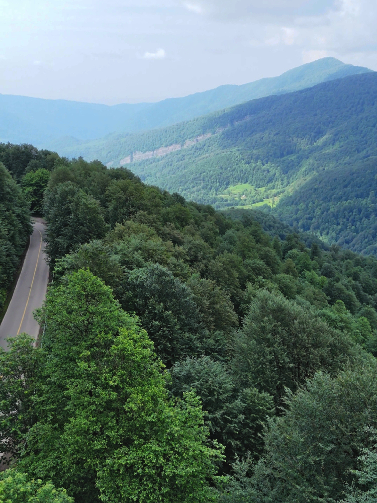 Drone view of Hyrcanian forests in Gilan province