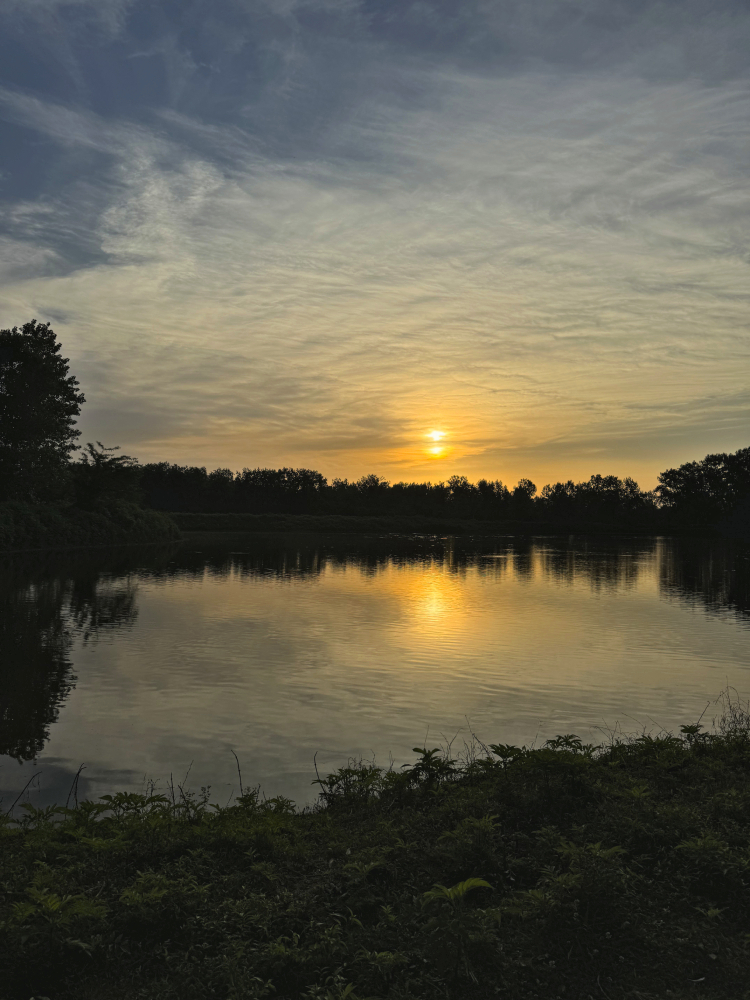 Hyrcanian forests, sunset by the lake 