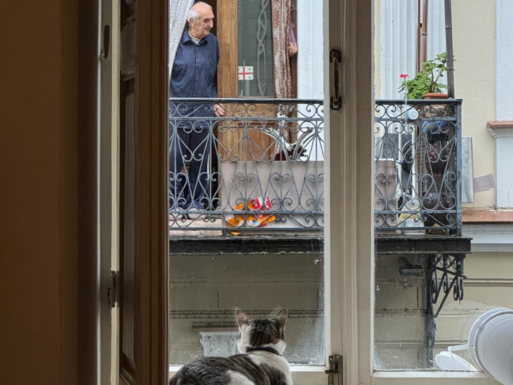 Person standing on a balcony overlooking the street
